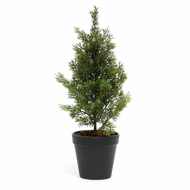 The Holiday Aisle® Decorative Cedar Tree in Pot Wayfair